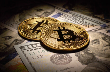 بتكوين تتجاوز 122 ألف دولار لأول مرة في تاريخها