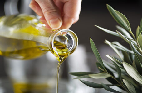 2040 طلبا للمشاركة بمهرجان الزيتون الوطني