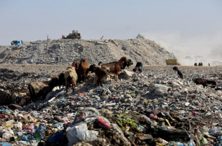 البنك الدولي يدعم مشروع “مجلس السلام” لإدارة حكم انتقالي في غزة