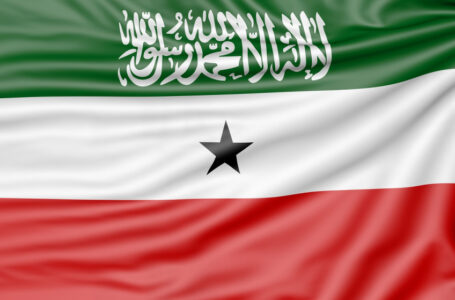 مصر والصومال وتركيا وجيبوتي ينددون باعتراف إسرائيل بأرض الصومال دولة ذات سيادة