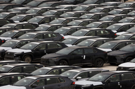 ارتفاع حركة “ترانزيت” المركبات عبر المنطقة الحرة الزرقاء 46 % في 2025